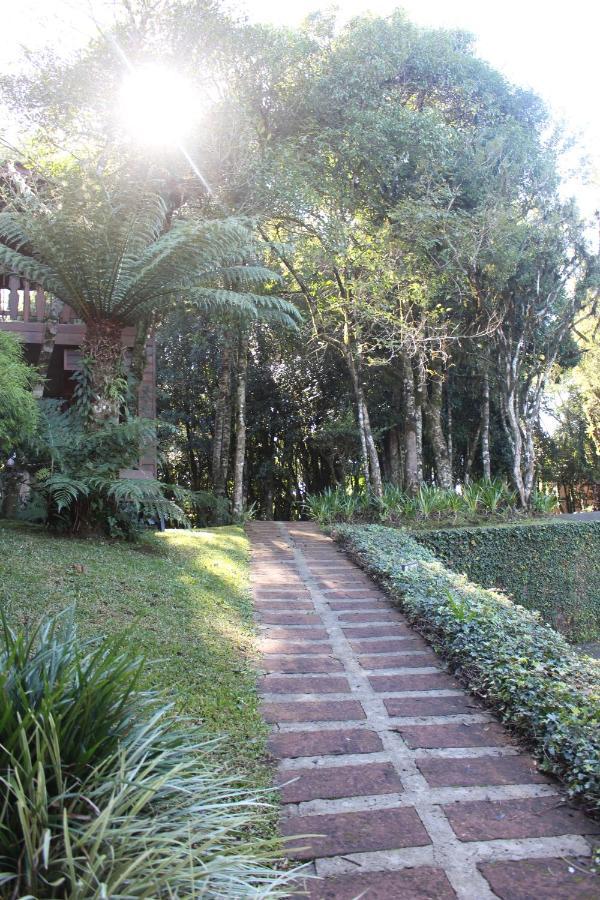Estalagem Floresta Negra *