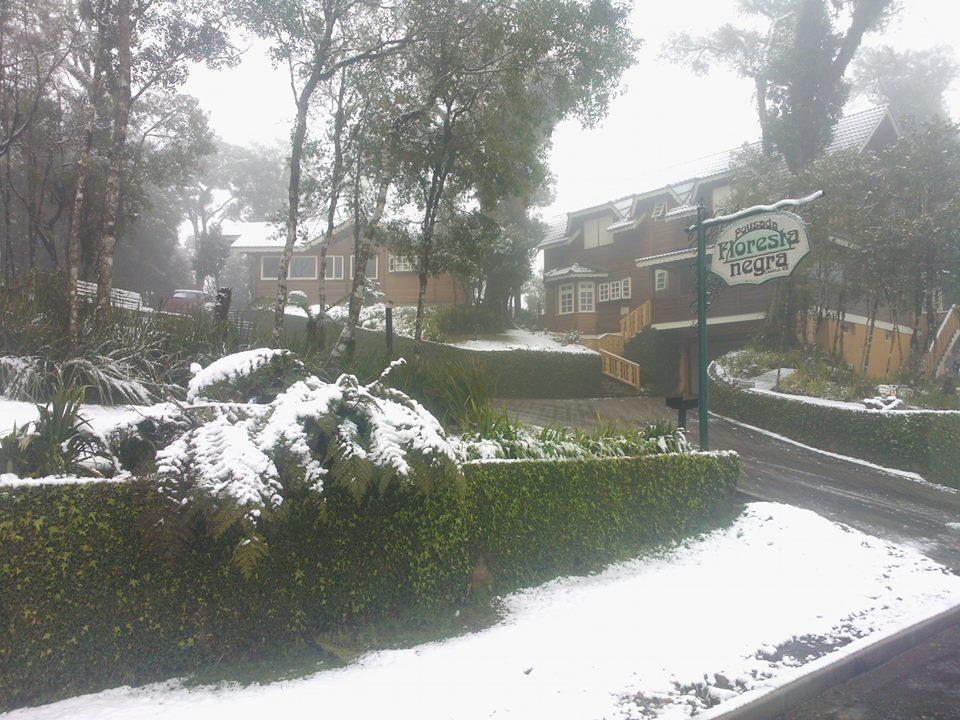 Floresta Negra *